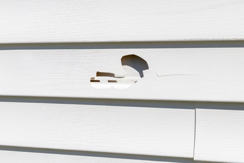 Vinyl Siding Repair Expertise Image 1