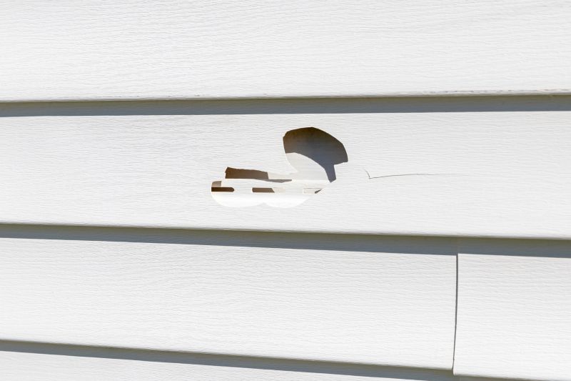 Vinyl Siding Repair Expertise Image 3